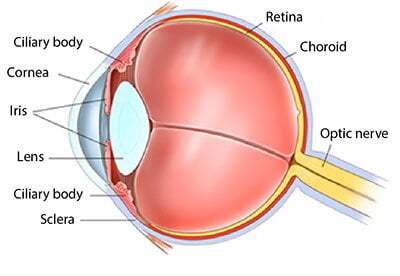 Eye Diagram